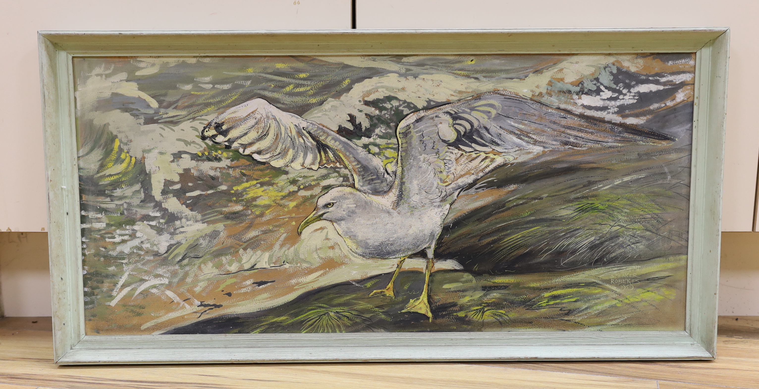 Spencer Roberts (1920-1997), oil on board, Study of a seagull, signed and dated 1959, 34 x 74cm